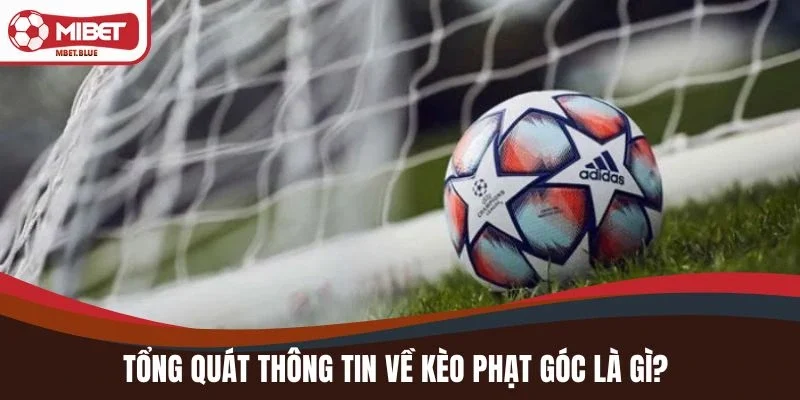 Tổng quát thông tin về kèo phạt góc là gì?
