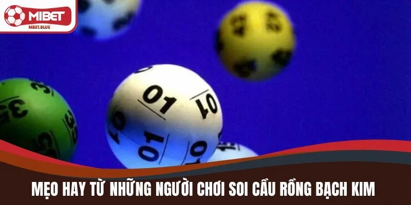 Mẹo hay từ những người chơi soi cầu rồng bạch kim